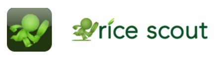 Rice Scout